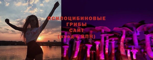 ГАЛЛЮЦИНОГЕННЫЕ ГРИБЫ Богданович