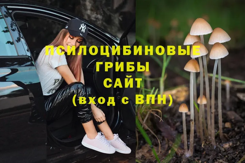 Псилоцибиновые грибы Psilocybe  Раменское 